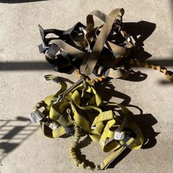Harness 