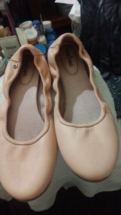 Minnetonka flats sz8