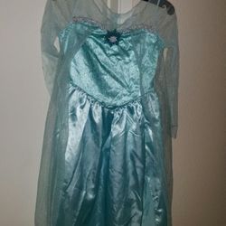 Frozen Elsa dress/costume