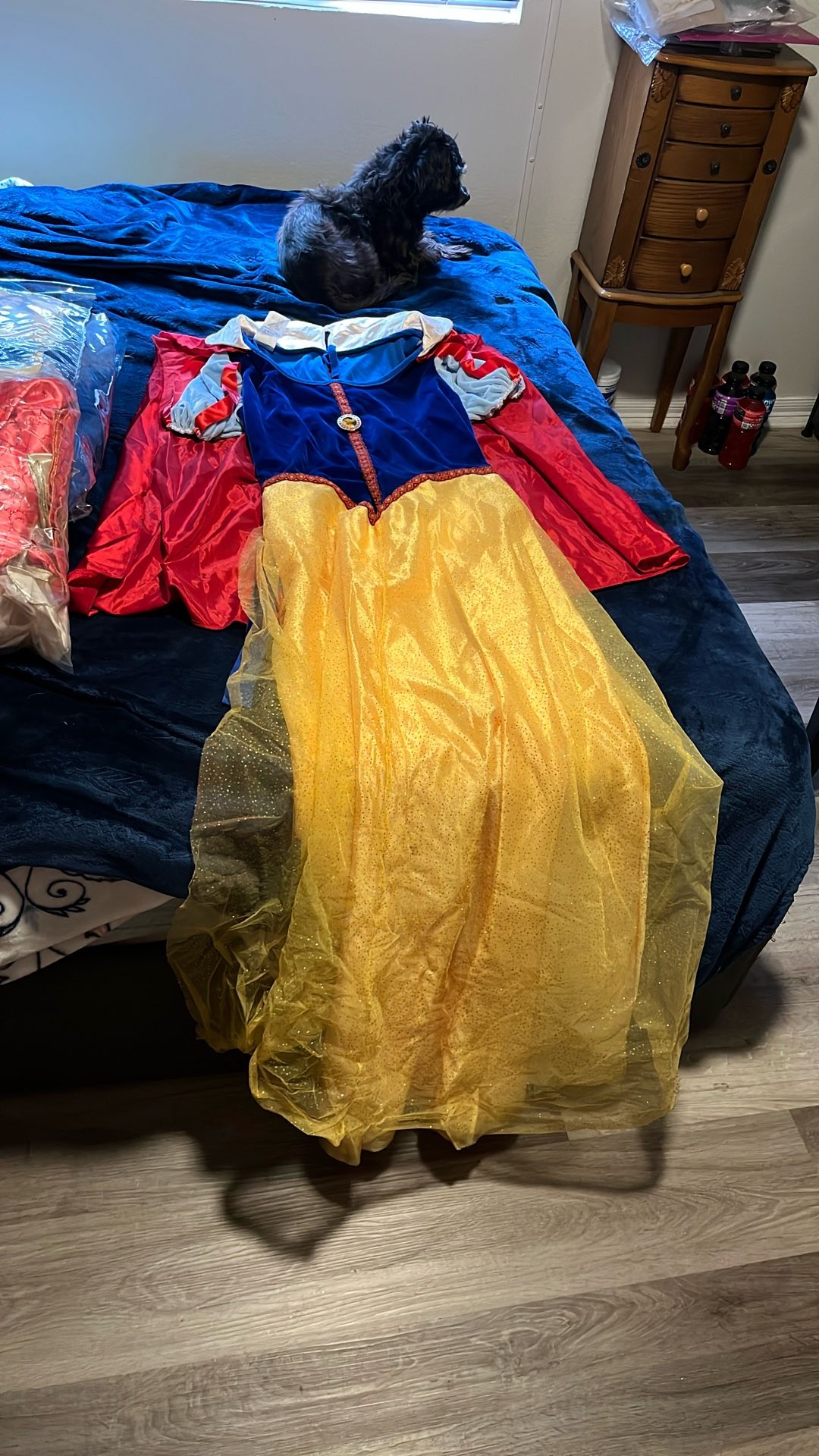Snow White long dress