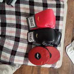 Everlast Boxing Glove Set