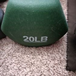 20lb Dumbell