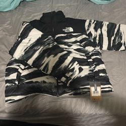 North face jacket