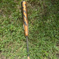 Baseball Bat 