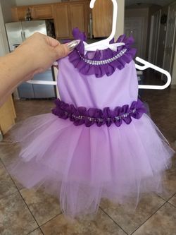 Handmade dog clothes