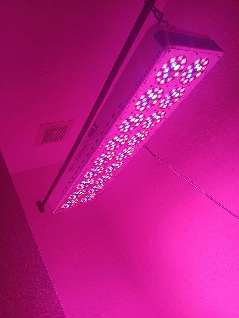 Grow Light. Larg