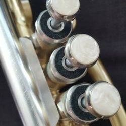 Berkeley Raw Brass STD Or Silver Eb Trumpet w/ Extra Silver D Bell ￼