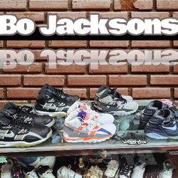 Nike Air Trainers "Bo's"