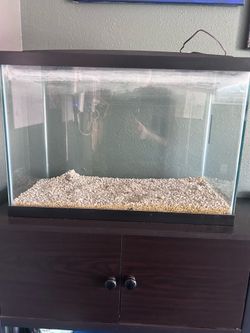 40 Gallon Fish Tank
