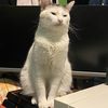 Victor