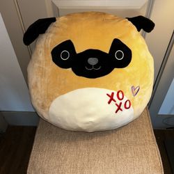 Squishmallows Pug Dog Limited Edition Xoxo 16” 