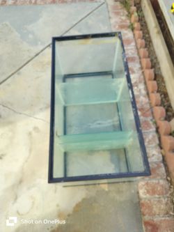 Fish Tank Sump