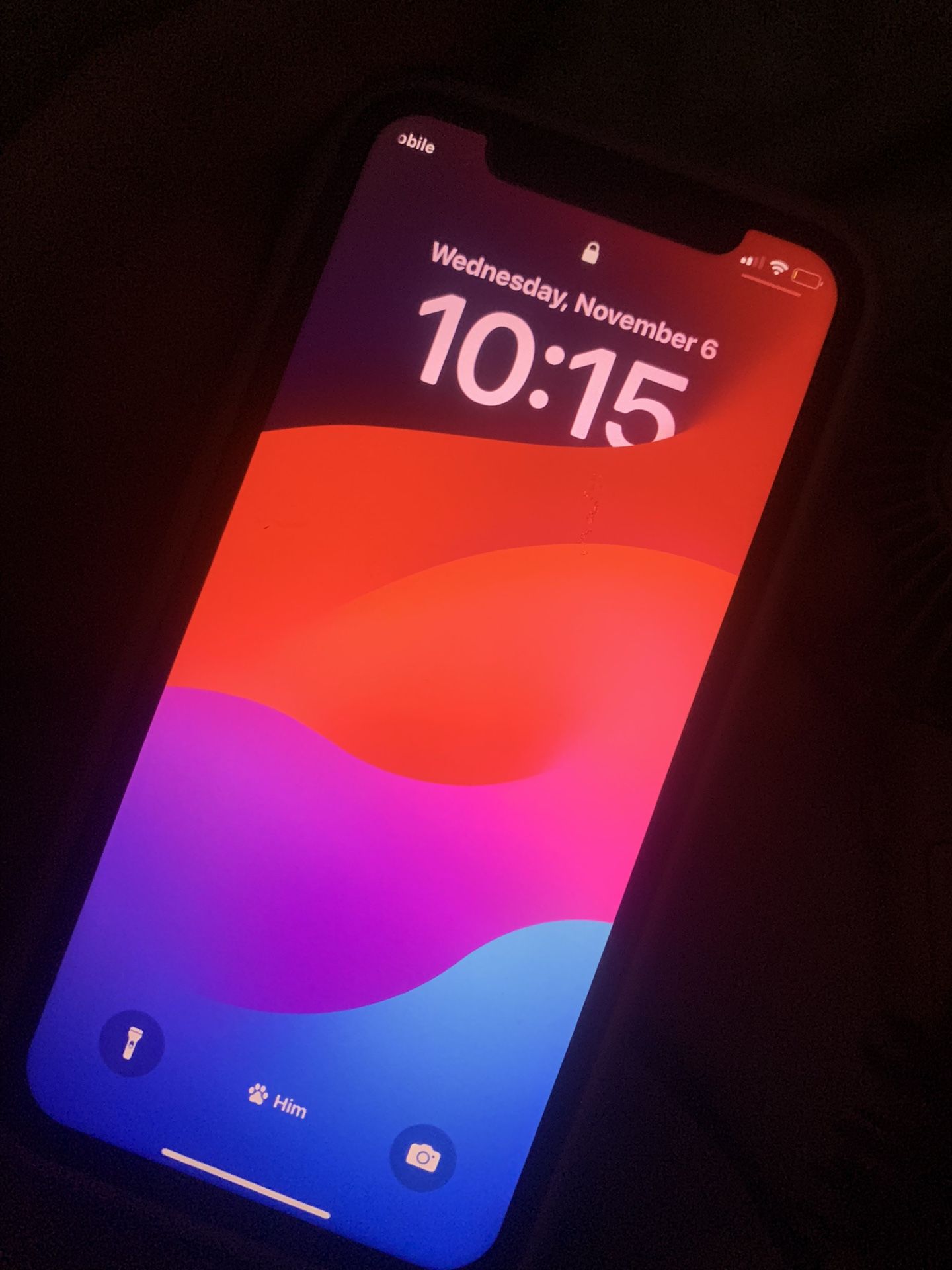 iPhone 11 {Unlocked}