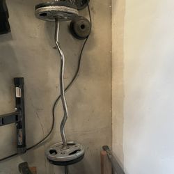 Curl Bar With Weights 