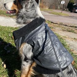 Winter Coat Faux Leather Motorcycle Style Jacket For Dogs Sz Large Black New