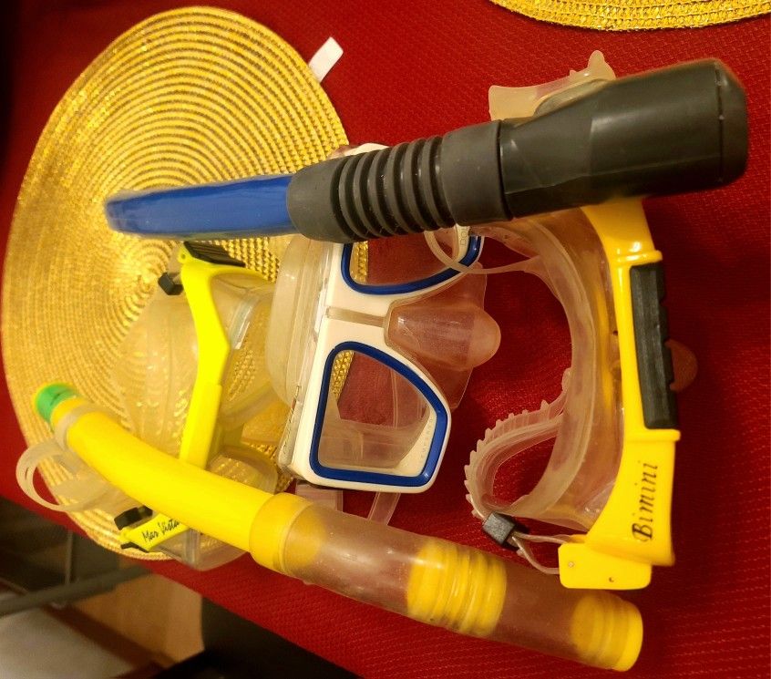 Two snorkel sets and a mask all for $25