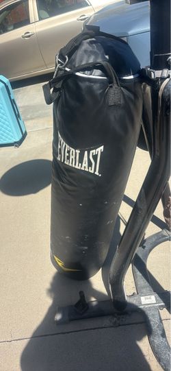 Everlast punching bag set