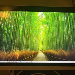 Hp touch screen 24 inch all in one for sale 