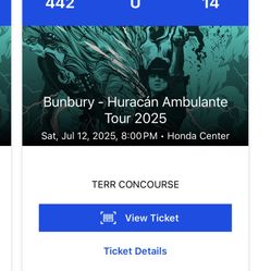 2 Boletos- Enrique Bunbury