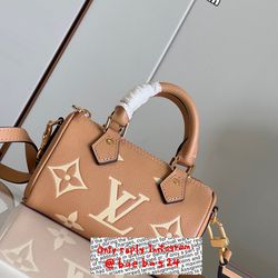 Louis Vuitton Speedy Night Bag 