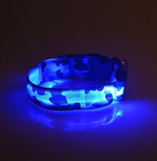 Glow In The Dark Collar.