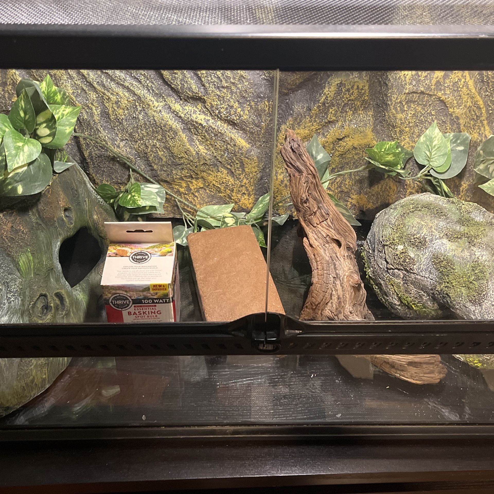 Reptile Cage for Sale in San Antonio, TX - OfferUp