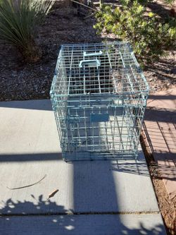 Animal Crate