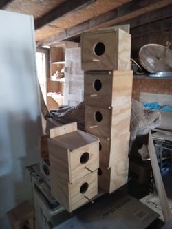 Bird 🐦 Nests..kitchen Cabinets Closets