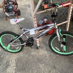  Bicycle     (Schertz)