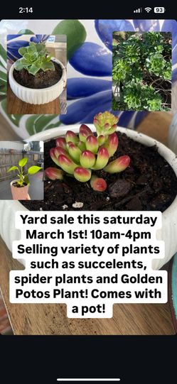 Plants For Sale ( Yard sale!) 