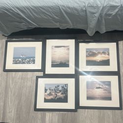 5 Lot Of Landscaping Portraits With Frames 