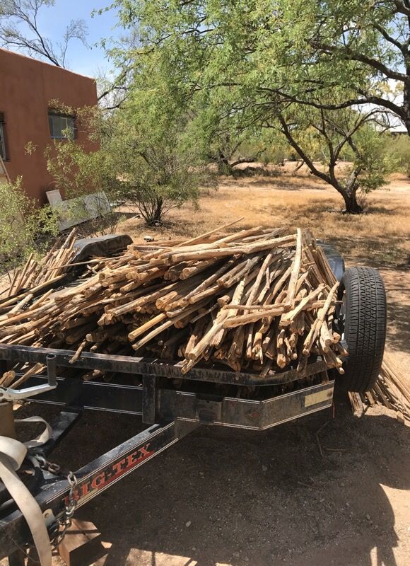 Saguaro Ribs bundle 20 for $20