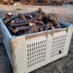 Firewood 