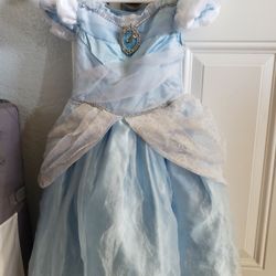 Cinderella Dress