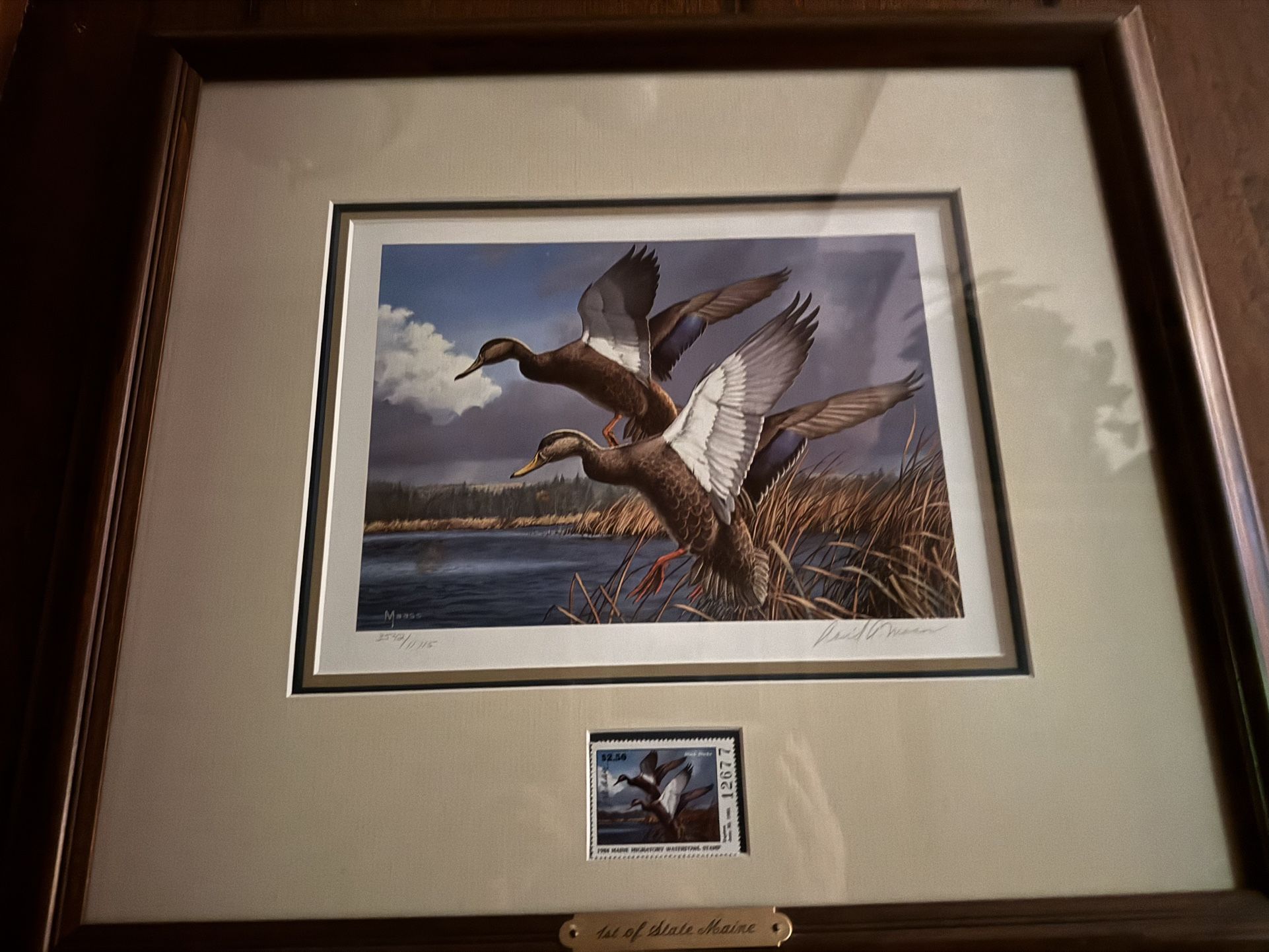 Framed Duck Stamp