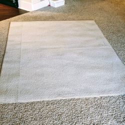 Outdoor/ Indoor Rug 