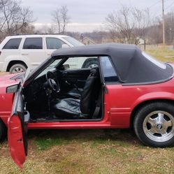 1984 Ford Mustang