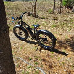 E-Bike