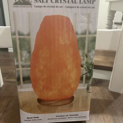 Himalayan Glow Salt Crystal Lamp (NEW)