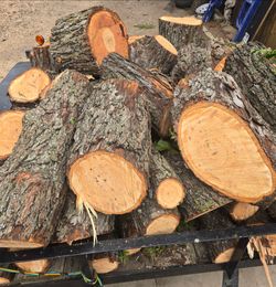 Pecan wood