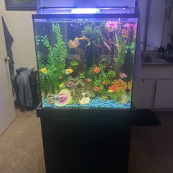 30 Gallon Glass Fish Tank 