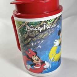 Disney Park 20oz WHIRLEY Insulated Cup Mickey Minnie Goofy DONALD Pluto ChipDale