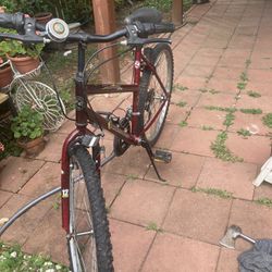Bicycle  Size 26 Normal