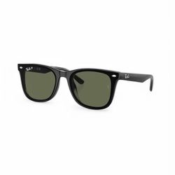 Ray-ban 4420 (Polarized)