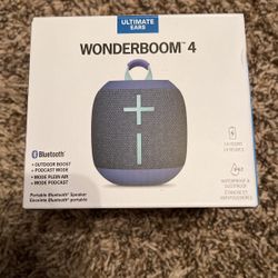 Logitech Wonderboom 4