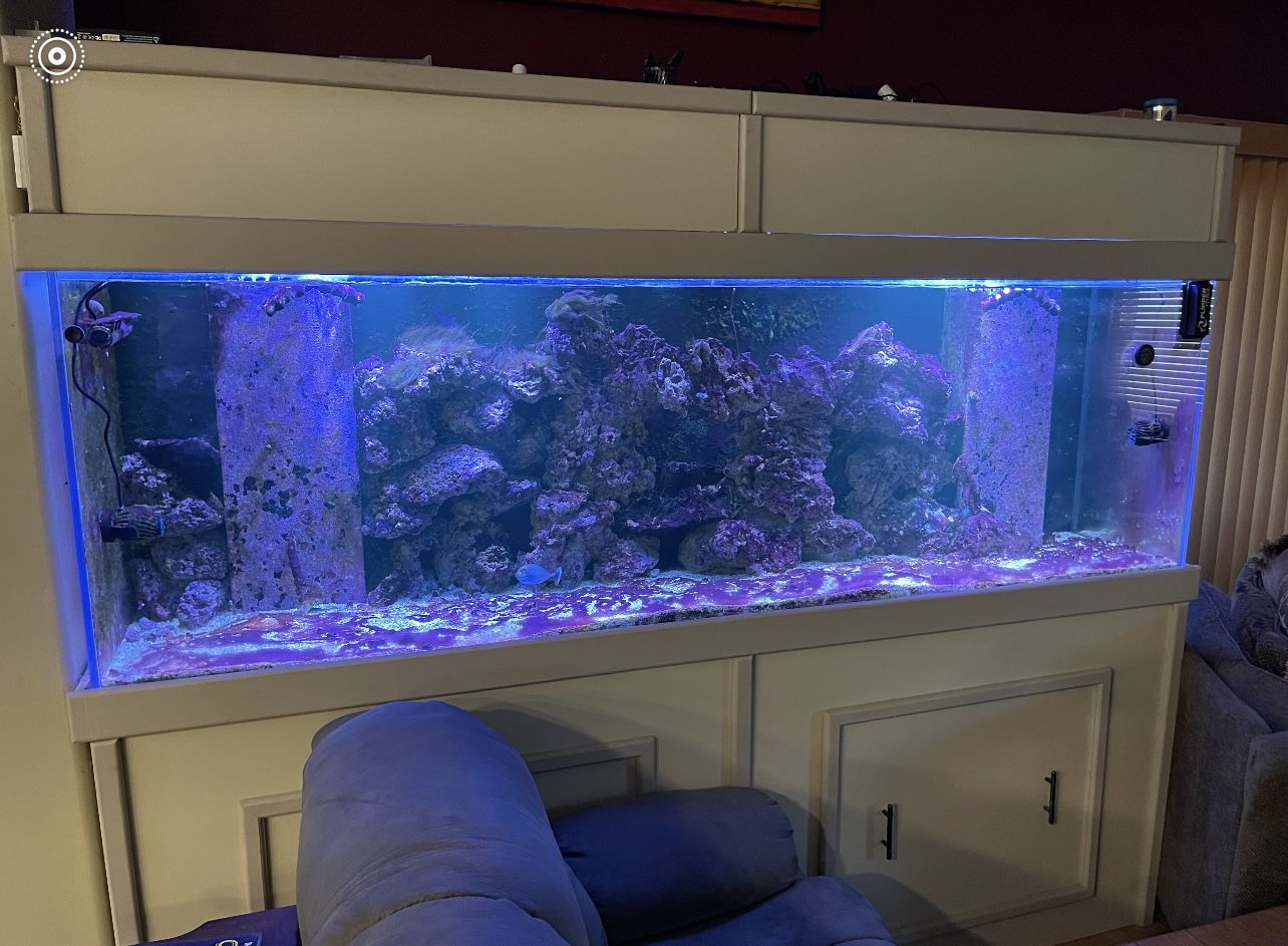 Fish Tank 300 Gallon Glass Tank With 90 Filter tank