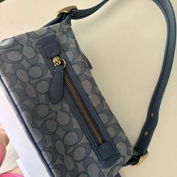 Coach bag ( The Demi bag limited re-edition