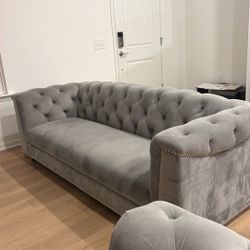 Gray Velour Couches