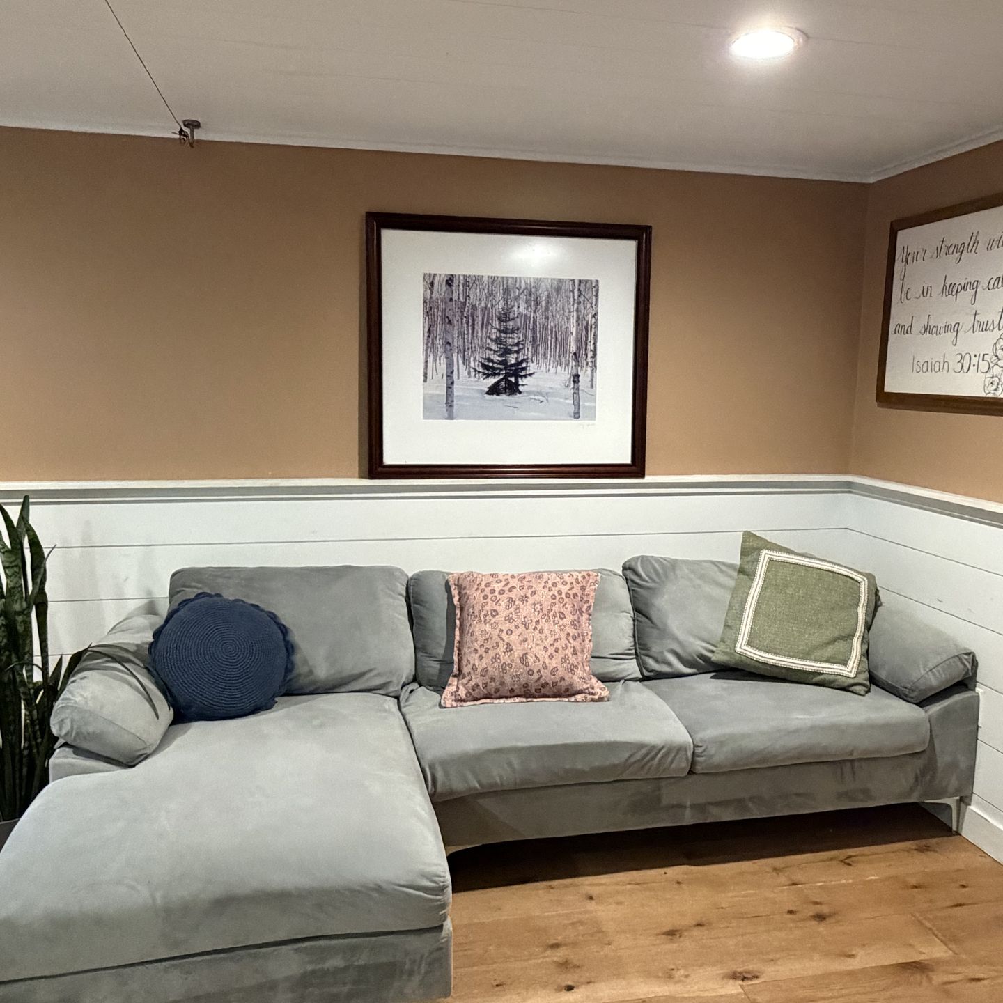 Couch NEED GONE ASAP OFFERS ARE WELCOME