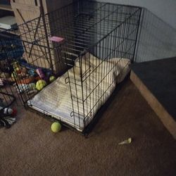 Large Pet Kennel 